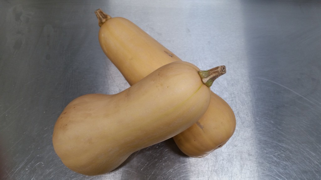 SQUASH SQUASH